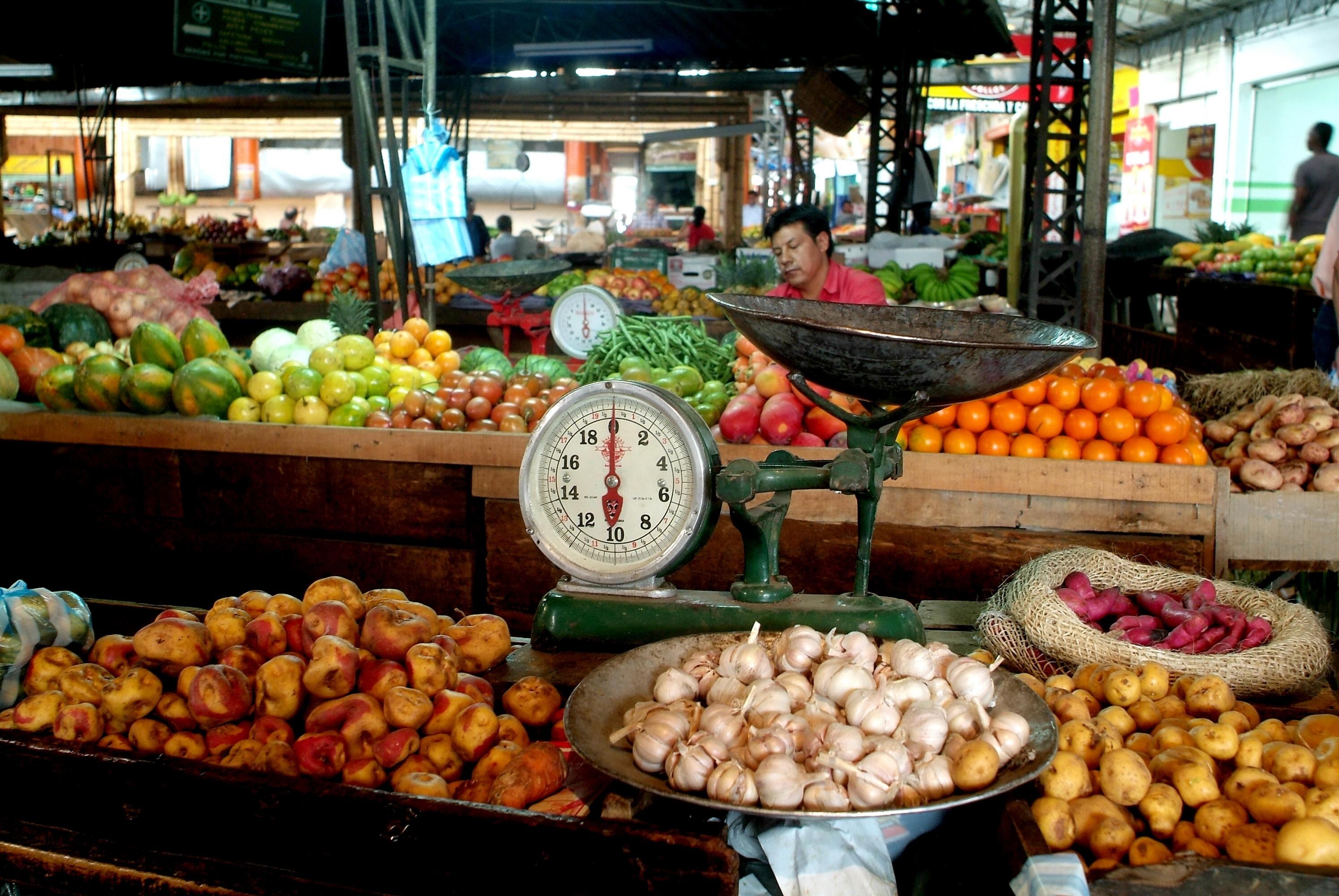 Estas son algunas de las verduras más ricas en nutrientes.