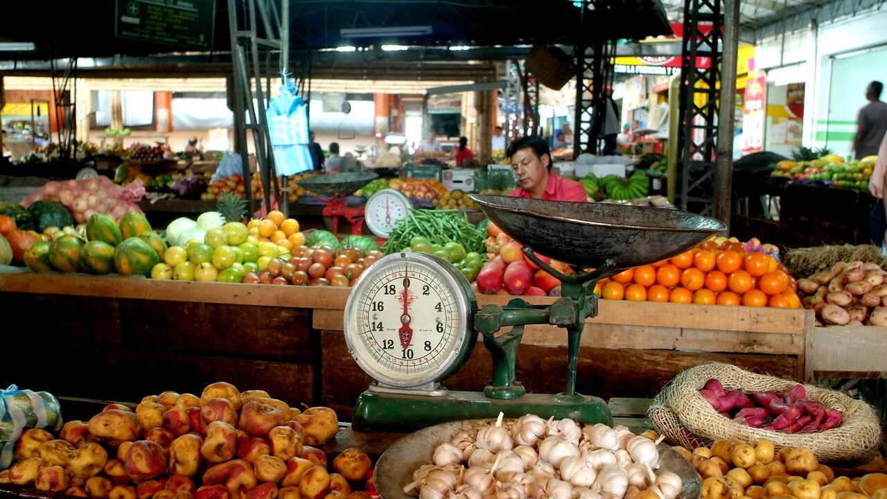 Estas son algunas de las verduras más ricas en nutrientes.