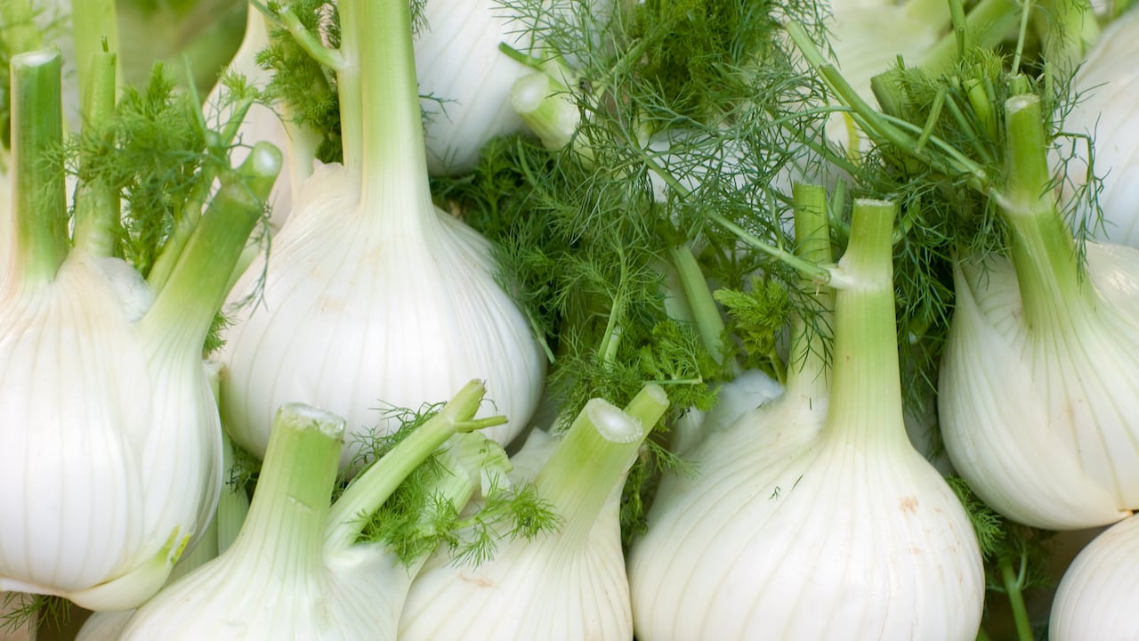 fennel on market stall, turin, italy