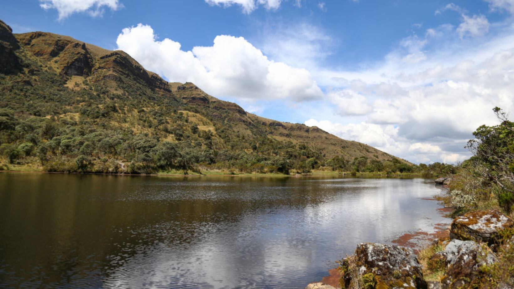 Acuerdo de Escazú: Estas son las razones por las que lo critican