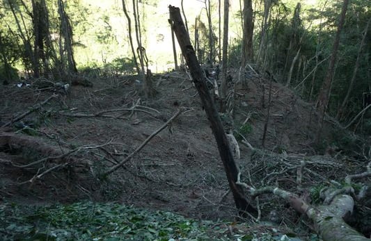 Parte de la montaña que sepultó al comandante del Frente 33 de las Farc.