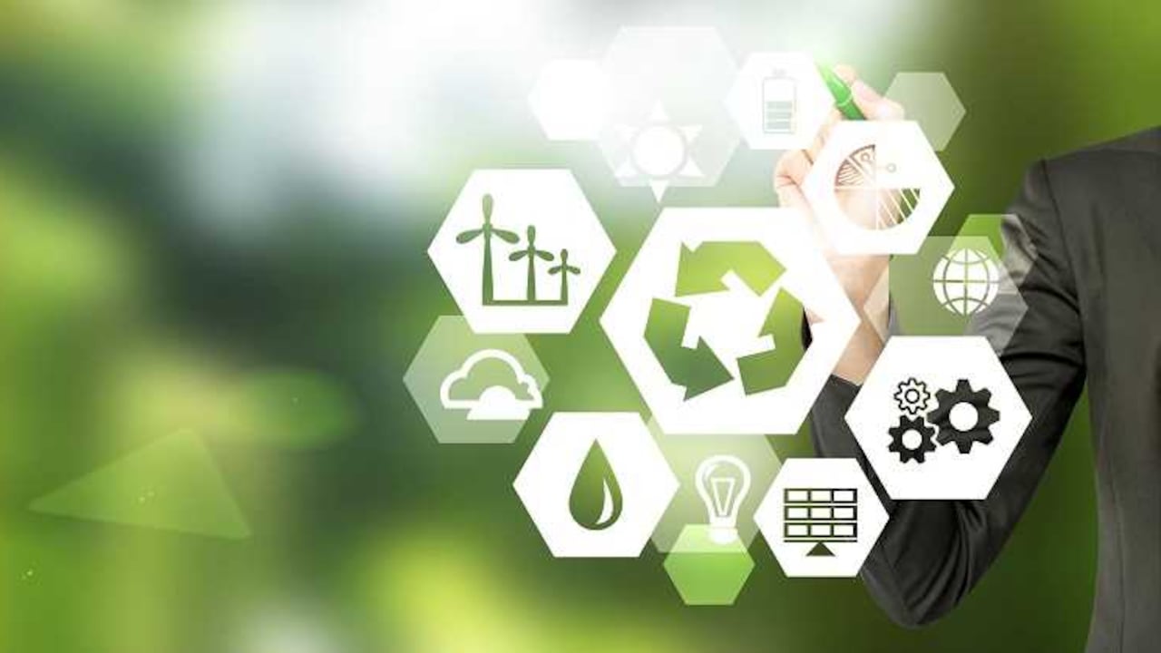 El evento cuenta con el apoyo de la Alcaldía de Bogotá, la Cámara de Comercio y Biontropic y con una inversión de 460 millones de pesos.