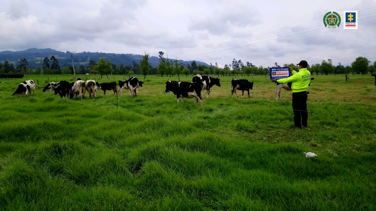 La Fiscalía ocupó con fines de extinción de dominio más de un billón de pesos en propiedades del extraditado esmeraldero Pedro Orejas.