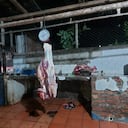 Durante el operativo hubo una asonada y no se presentaron capturas.