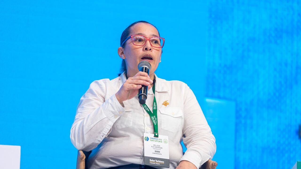 Belizza Ruiz, viceministra de Minas y Energía