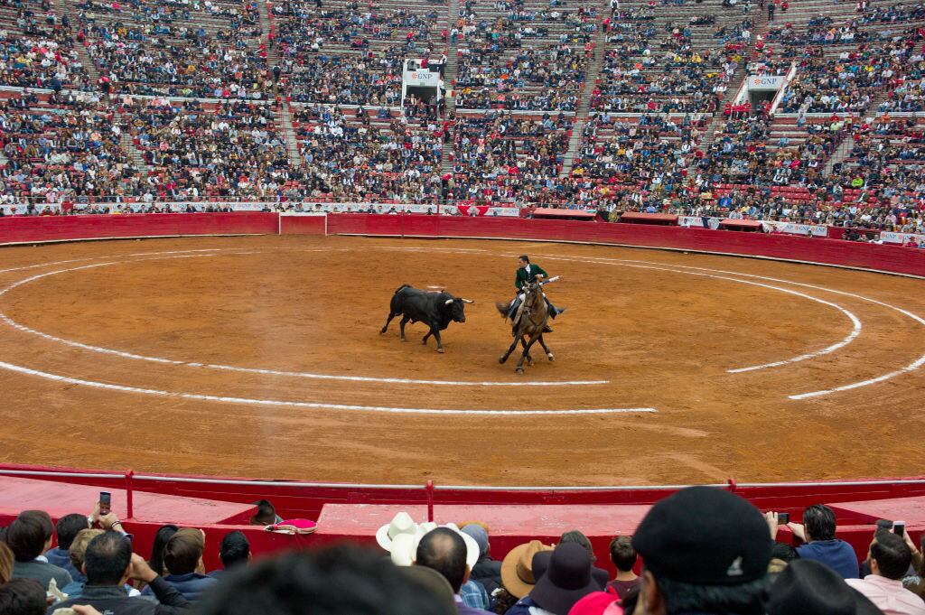 MEXICO CITY,  MEXICO - NOVEMBER 03:  Mexicans watch a Sunday afternoon bullfight on November 3, 2019 at the Plaza del Toros in Mexico City, Mexico.  (Photo by Andrew Lichtenstein/Corbis via Getty Images)