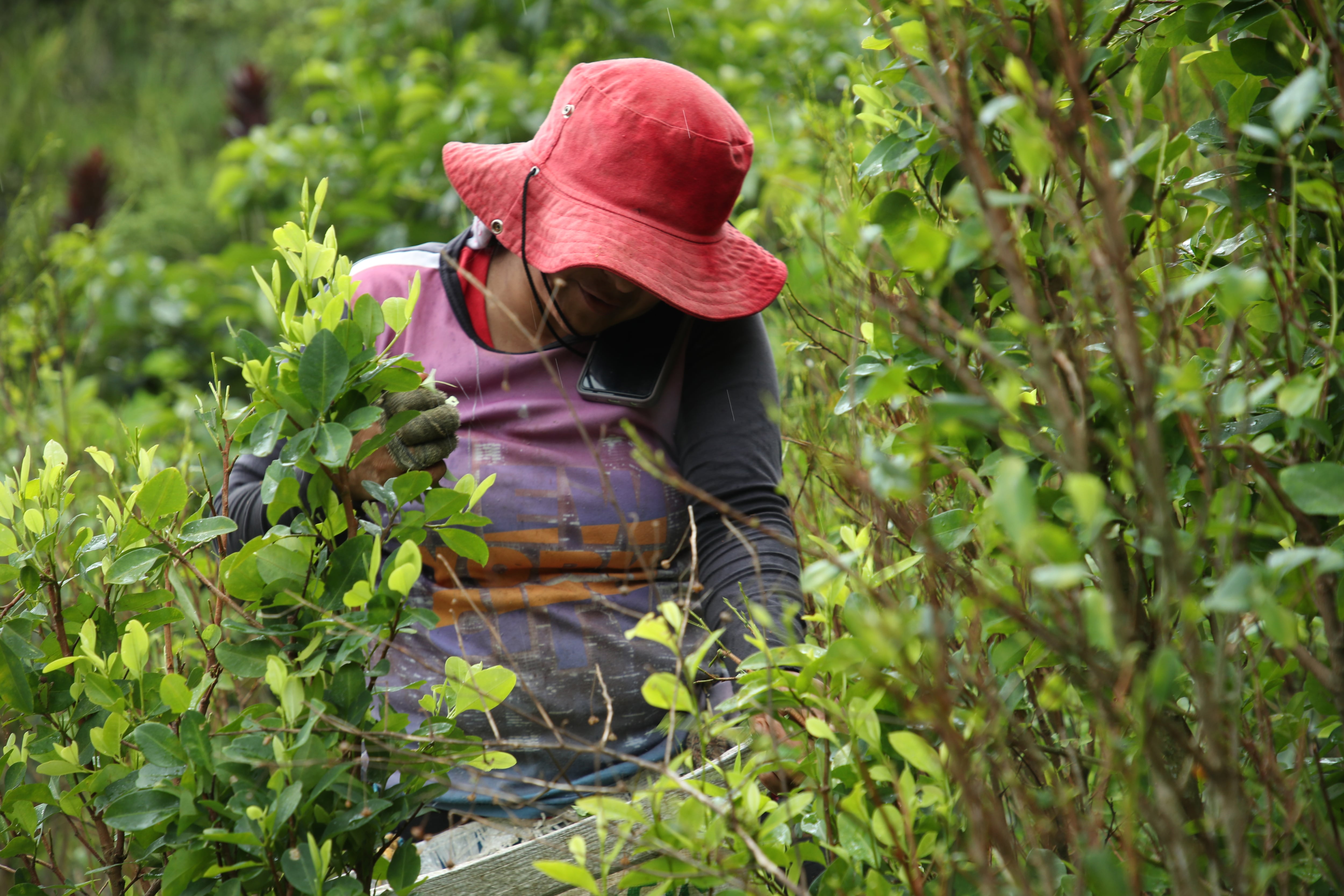 Informe especial El Plateado Semana