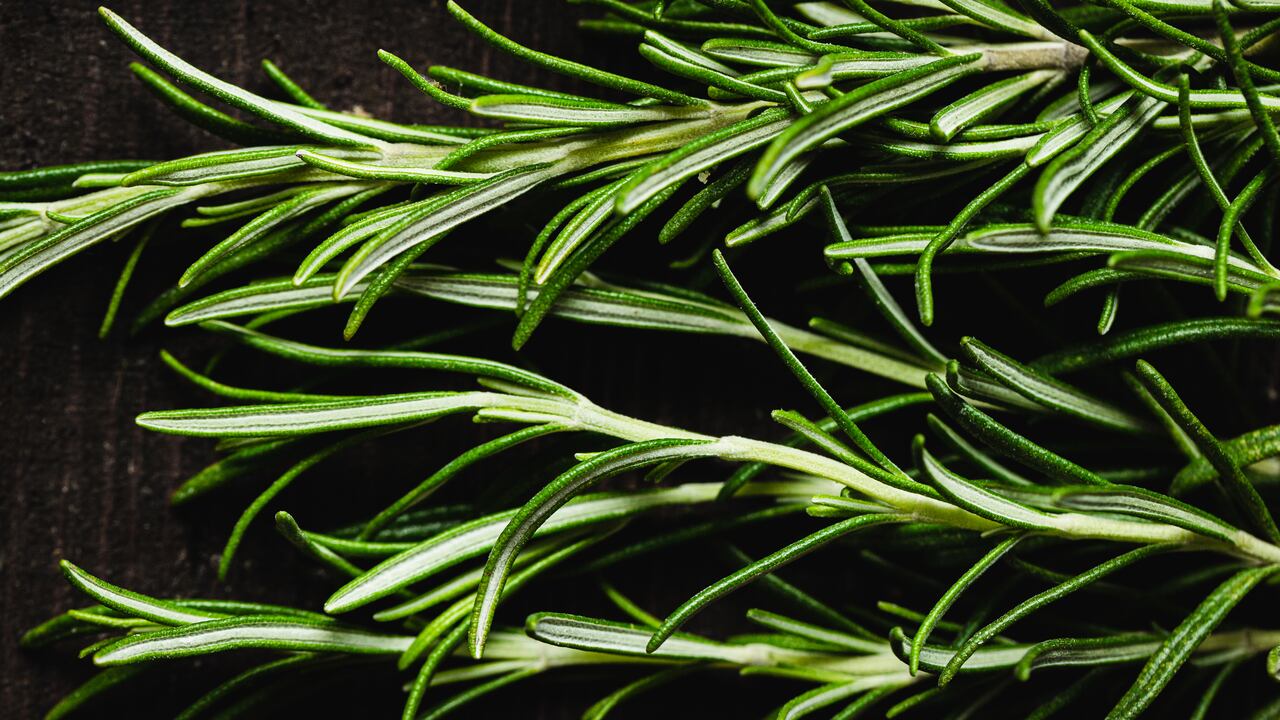 Así puede hacer el ritual para atraer prosperidad en su vida.