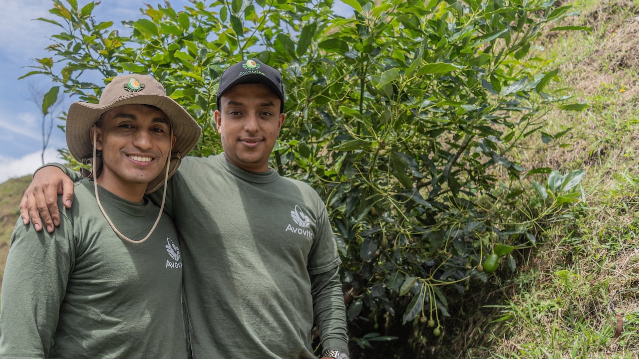 Juan Esteban Jaramillo y Emir Silva, fundadores de Avovite