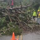 En el Atlántico vendaval causó afectaciones en el servicio de energía.