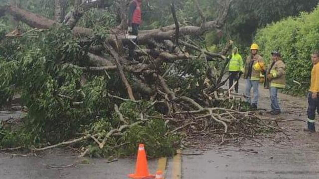 En el Atlántico vendaval causó afectaciones en el servicio de energía.