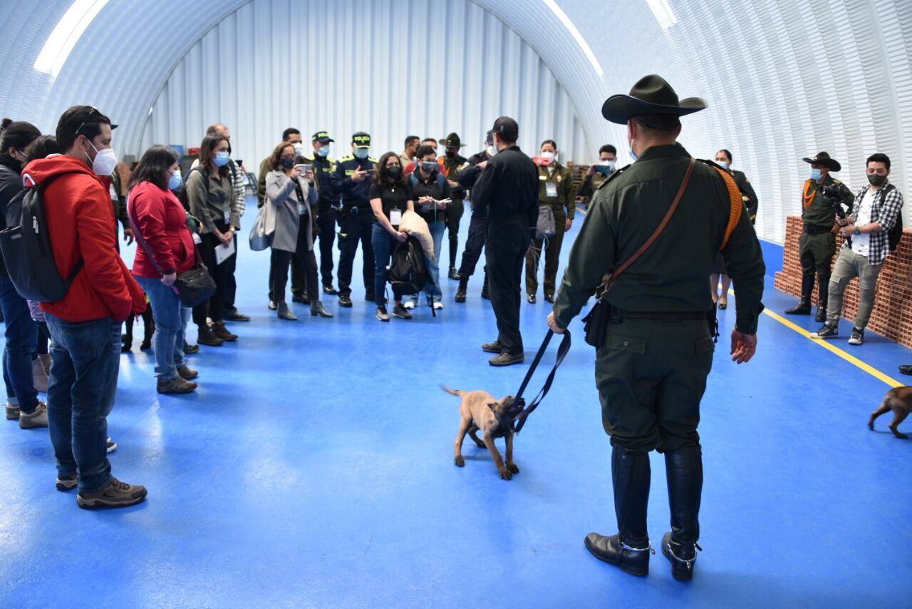 Policía Nacional y sus caninos