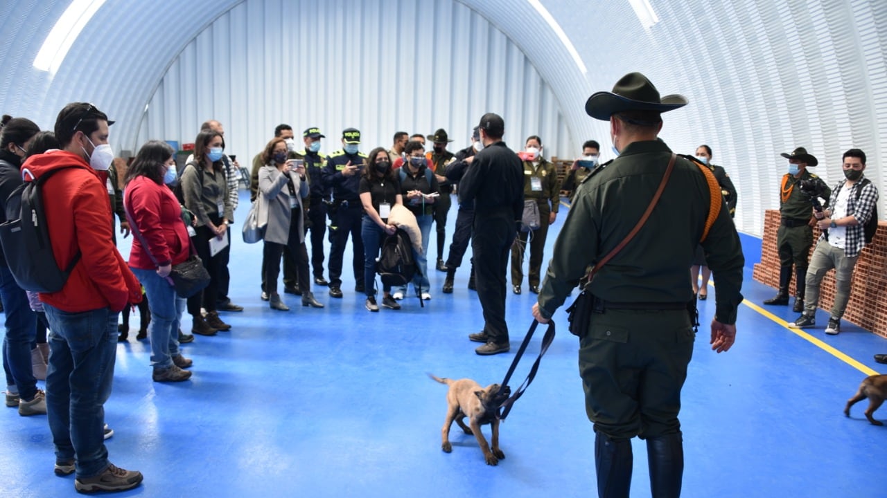 Policía Nacional y sus caninos
