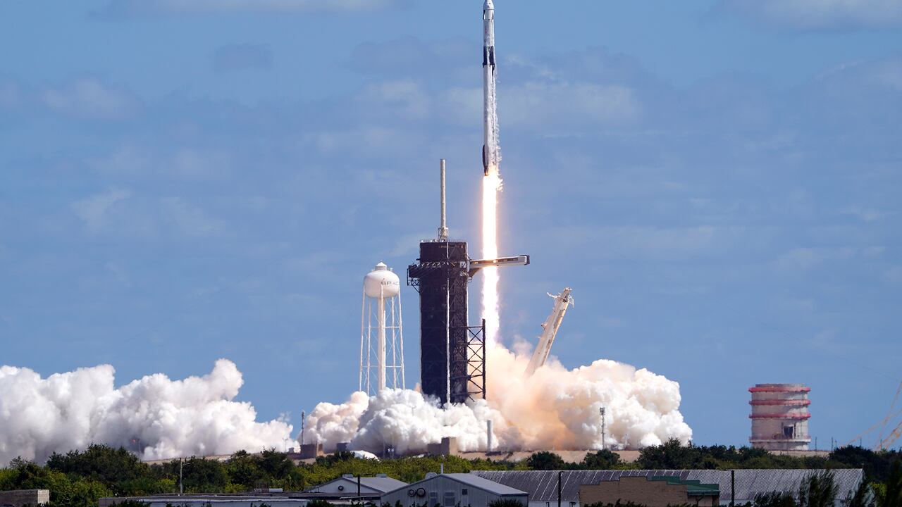 Fotos de la semana 7 octubre