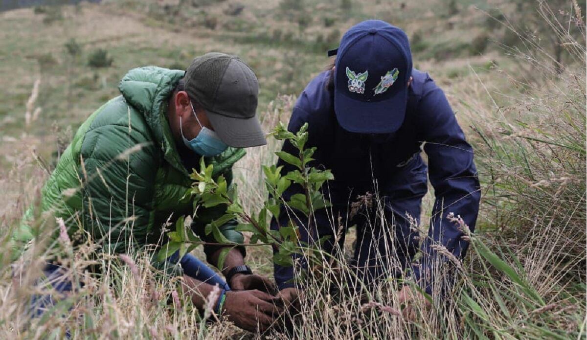 Reforestación den Páramo de Guerrero