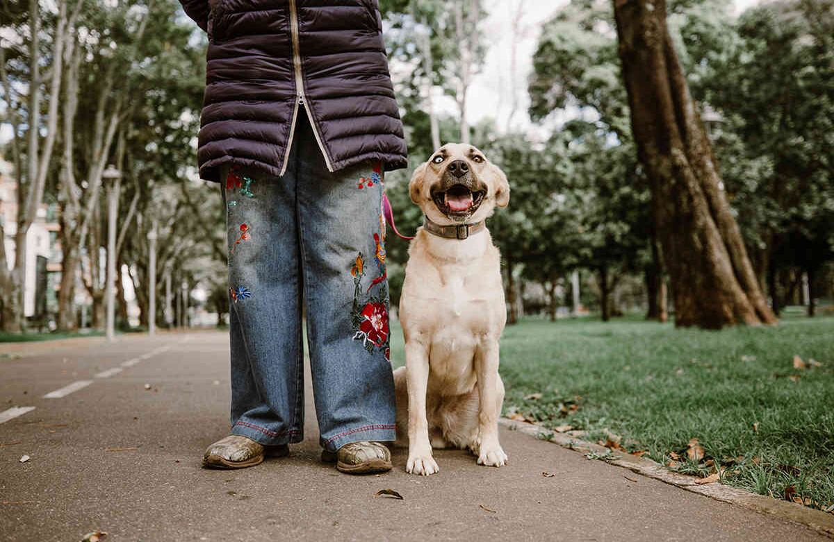 Soy Bi y tengo un año y cuatro meses. Mi mamá, Mónica, me adoptó y mi nombre lo escogió debido a que tengo un ojo azul claro y el otro café.  Me levanto con ella muy tranquila e incluso practicamos yoga, ella me enseña. Nos acompañamos todo el día y salimos cuatro veces al parque. Karen Salamanca-SEMANA