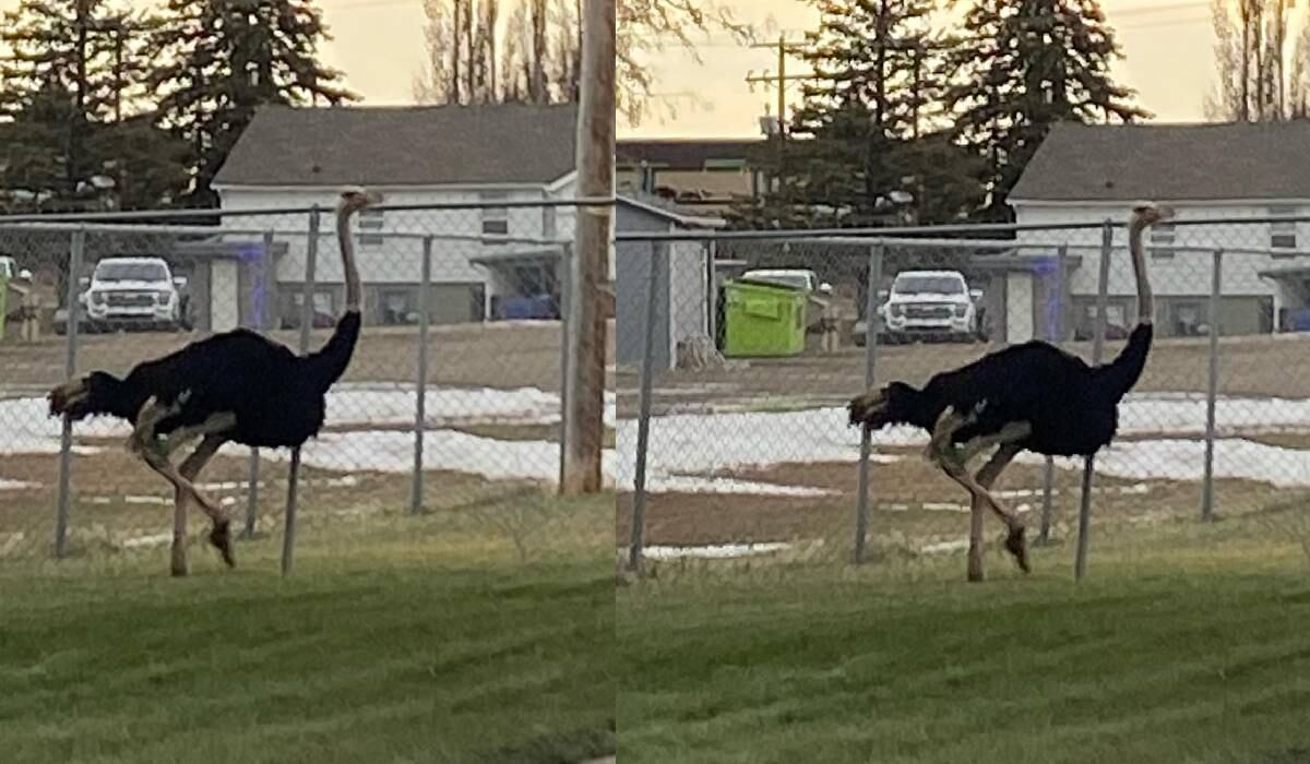 Varios testigos grabaron videos sobre los hechos y posteriormente se viralizó en las redes sociales