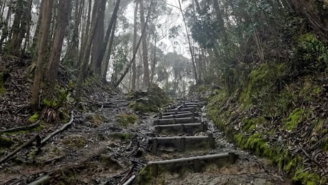 Bogotá, Colombia