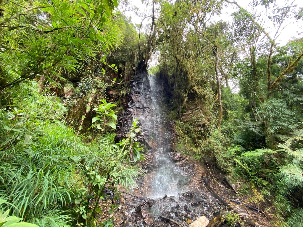 Chingaza abastece con agua potable al 80 % de los habitantes de Bogotá.