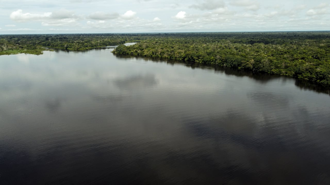 Expedición por la selva amazónica