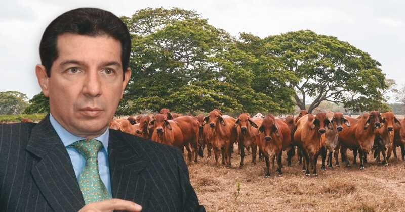 José Félix Lafaurie, presidente de Fedegán.