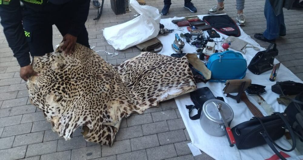 Piel de jaguar en Medellín.