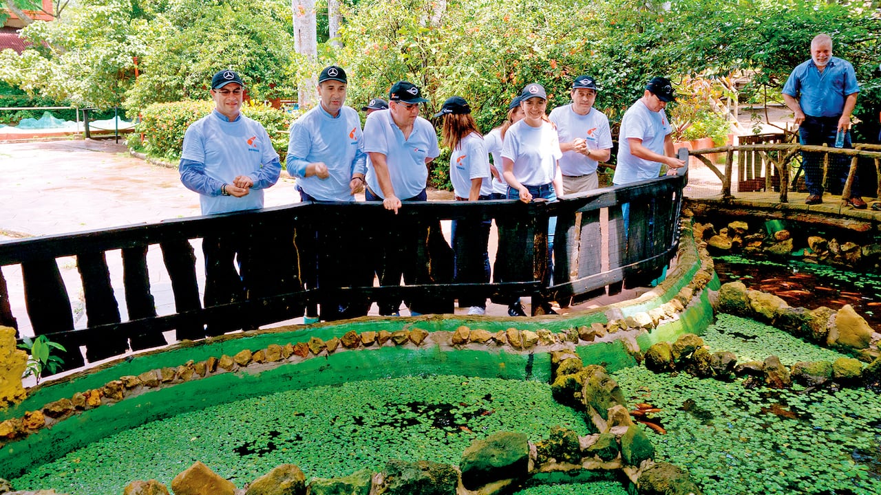 NO USAR, USO EXCLUSIVO MEJOR COLOMBIA, Especial Empresas que Construyen País, Primax