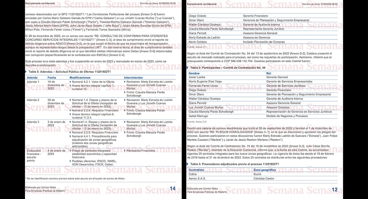 Informe de Control Risks sobre los hallazgos de la auditoría forense a Afinia durante el periodo 2020-2023.