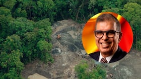 El ministro designado de Ambiente, Fabio Arjona, se refirió a las cifras de deforestación.