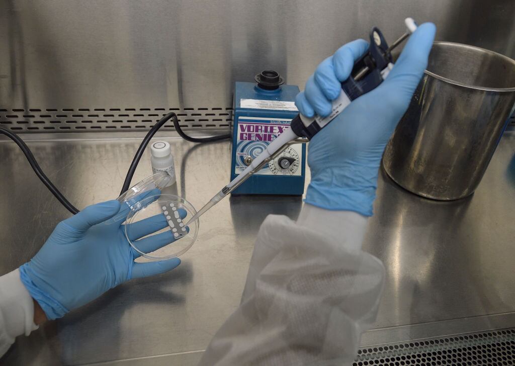 12 familias de bacterias en la Tierra que ya son resistentes a los medicamentos conocidos