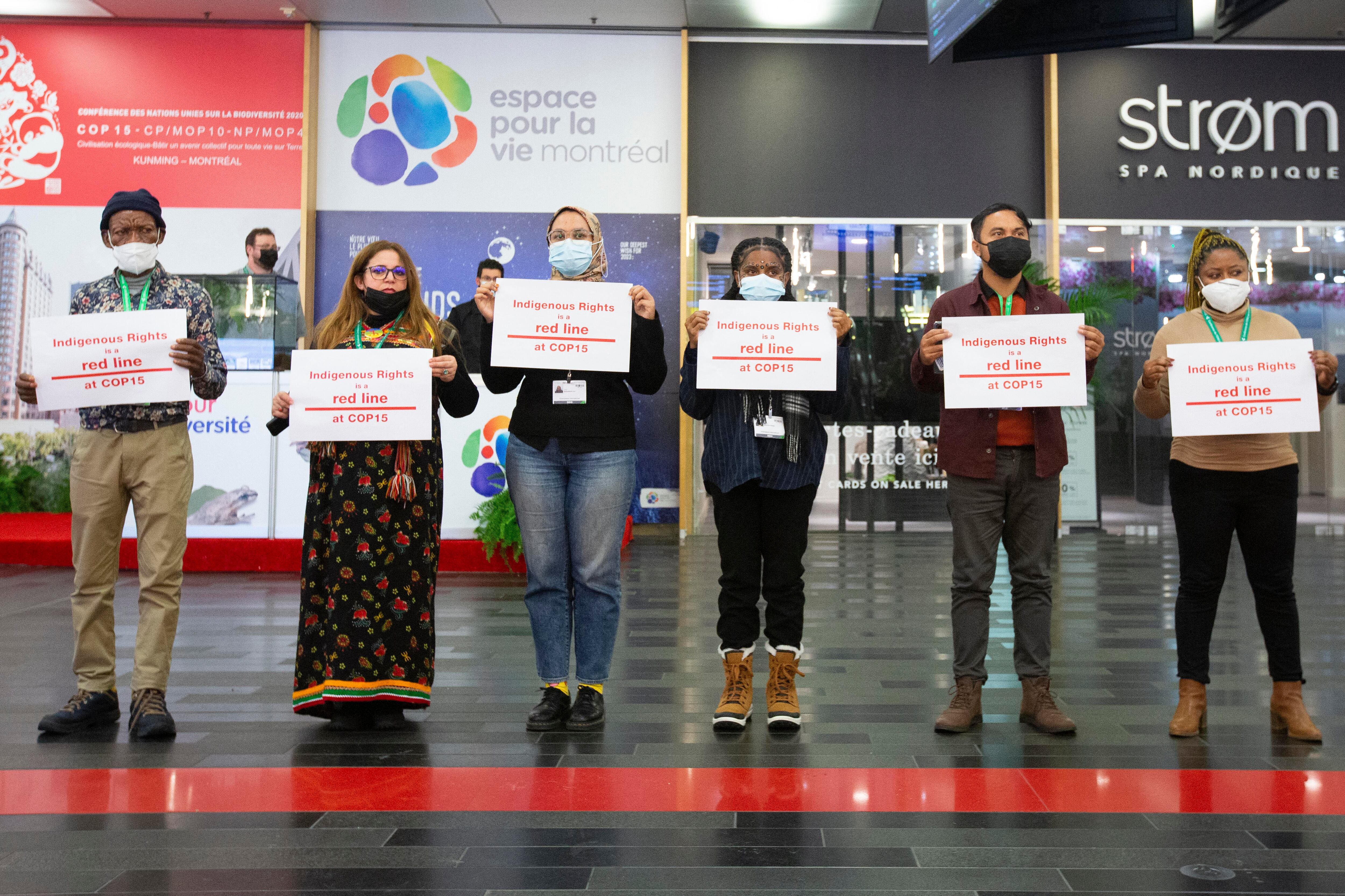 Activistas indígenas en la COP15