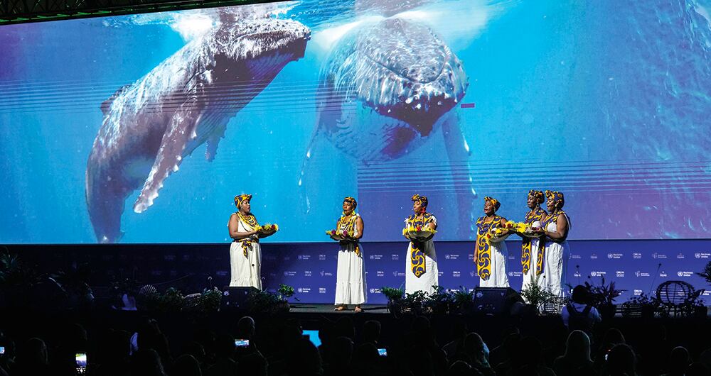 La COP16 tuvo centenares de eventos que mostraron la riqueza biológica y cultural de los colombianos. 