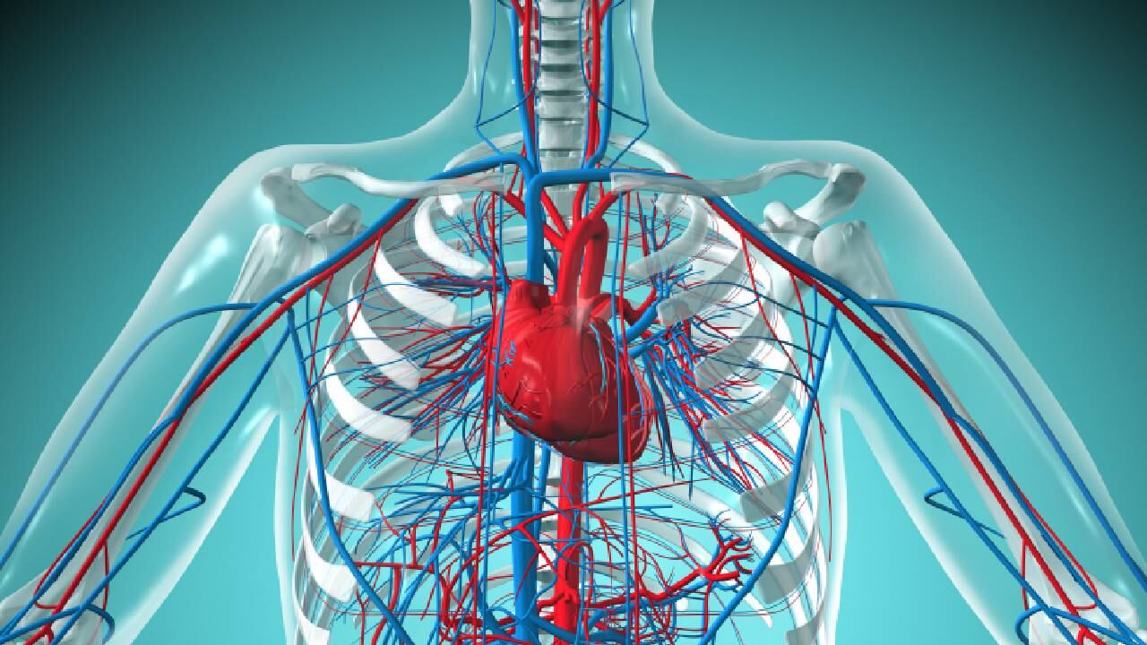 Cifras de la Organización Mundial de la Salud indican que al año mueren 18 millones de personas al año por las  enfermedades cardiovasculares. Foto: Getty images.