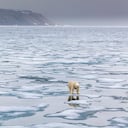 El hielo invernal del Ártico podría reducirse más de lo esperado, según nuevas proyecciones científicas.