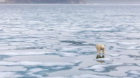 El hielo invernal del Ártico podría reducirse más de lo esperado, según nuevas proyecciones científicas.
