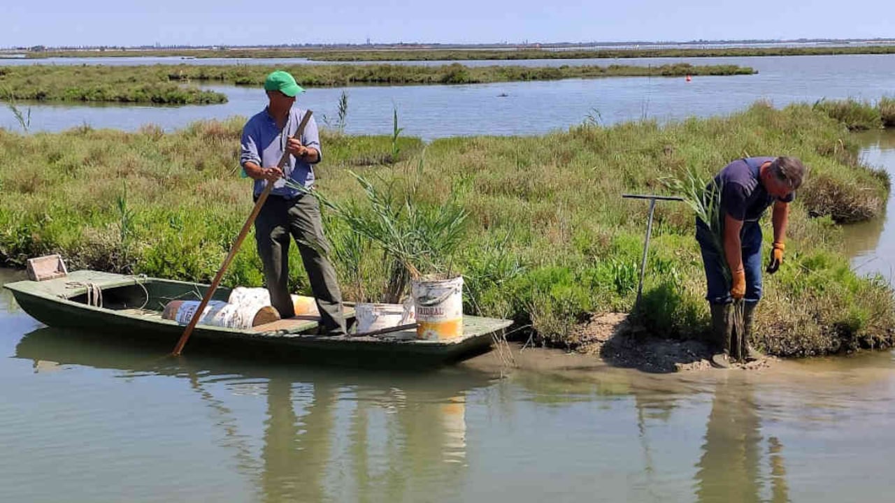"Life Lagoon Refresh", el proyecto tiene como objetivo inyectar agua dulce del río Sile para reducir la salinidad. Foto: AFP
