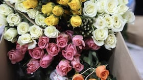 Durante San Valentín, muchas personas celebran con cenas, reuniones y muestras públicas de cariño.La fecha impulsa actividades sociales y comerciales relacionadas con el amor, la amistad y la convivencia.