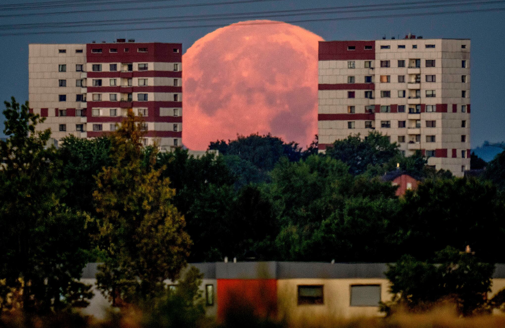 Fotos de la semana 12 agosto