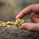 The pure gold ore found in the mine is in the hands of men.