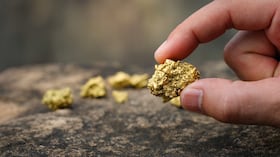 The pure gold ore found in the mine is in the hands of men.