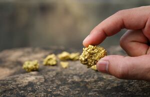 The pure gold ore found in the mine is in the hands of men.
