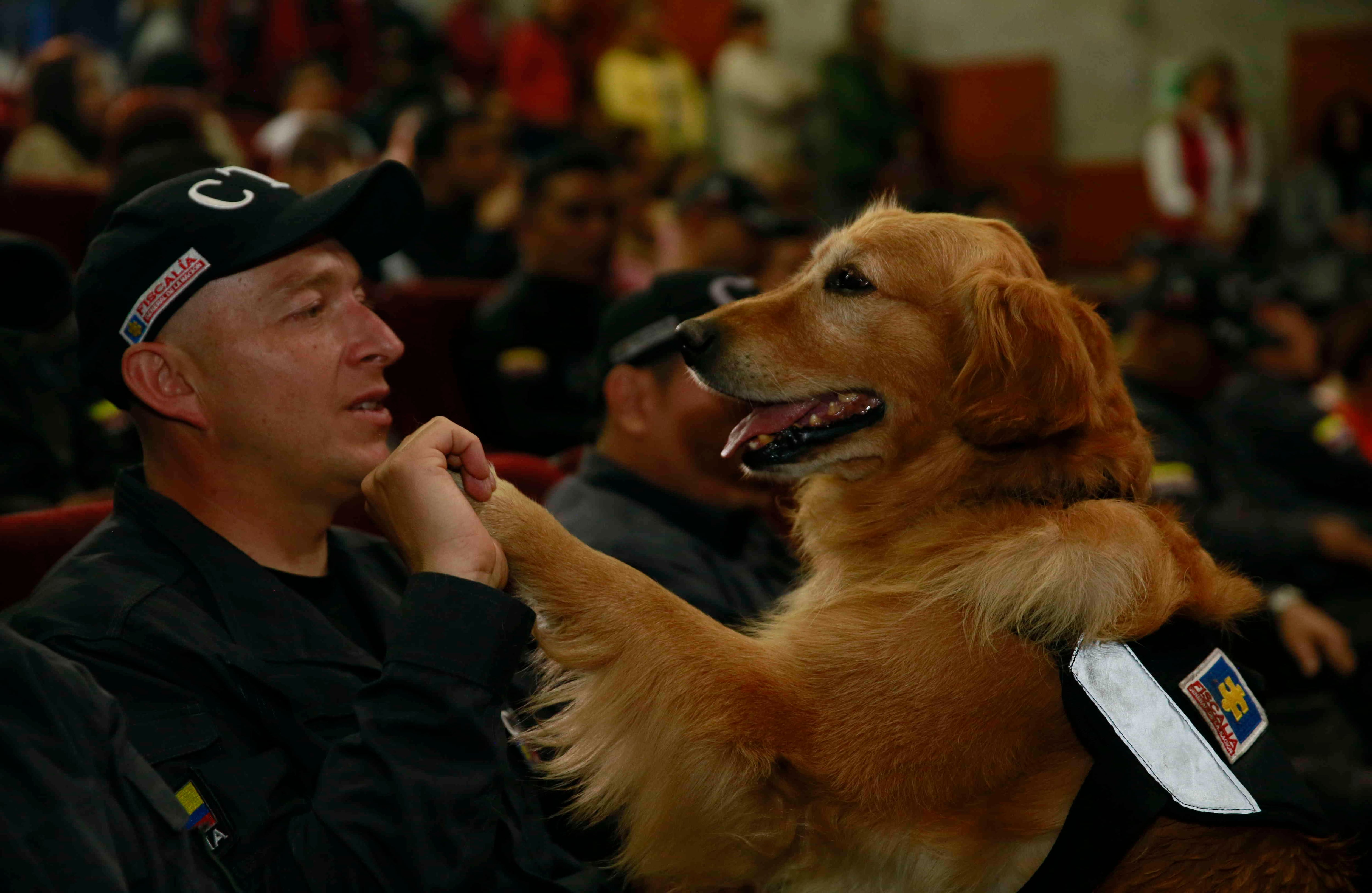 Durante años, estos caninos han conformado un "binomio" con sus cuidadores.