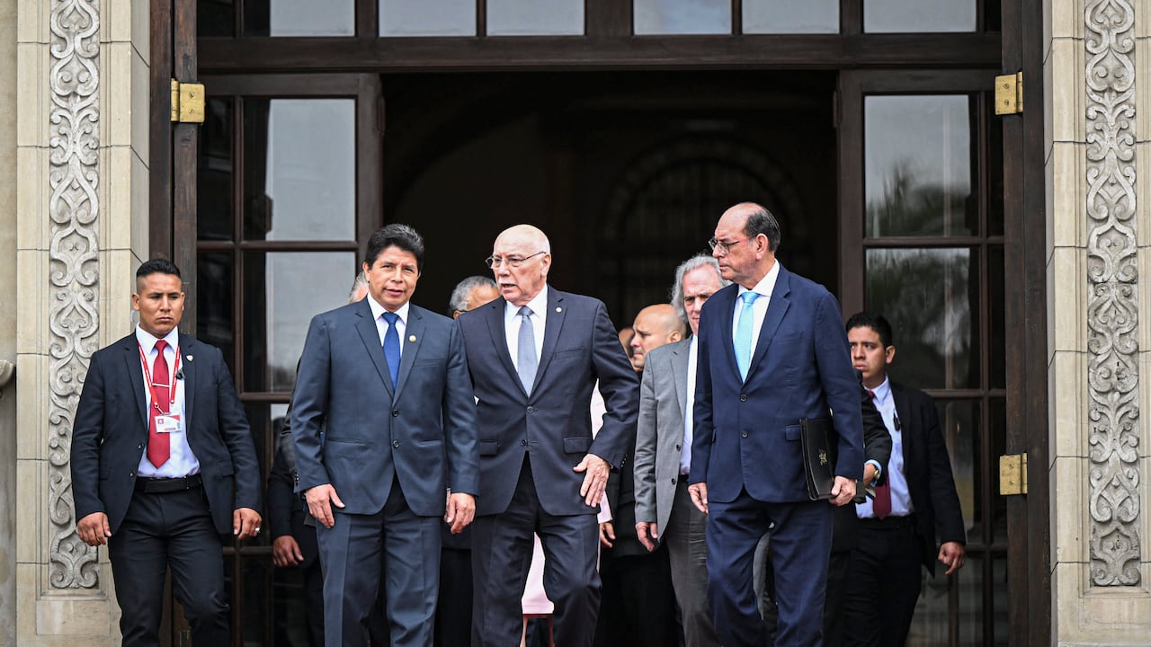 Altos funcionarios de la OEA se reunieron con el presidente de Perú Pedro Castillo. Foto: AFP.