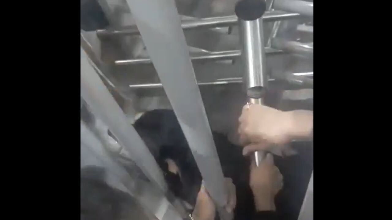 Al ver la angustia y que no llegaban los bomberos una intendente entendió la situación pero les tocó conciliar con TransMilenio.