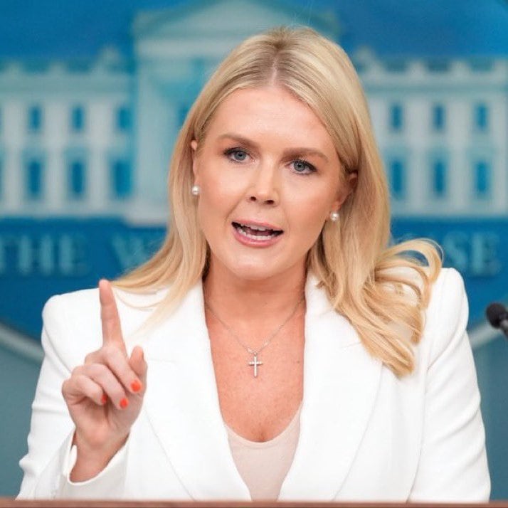 La portavoz Karoline Leavitt aseguró que el gobierno estadounidense usará todo su poder.