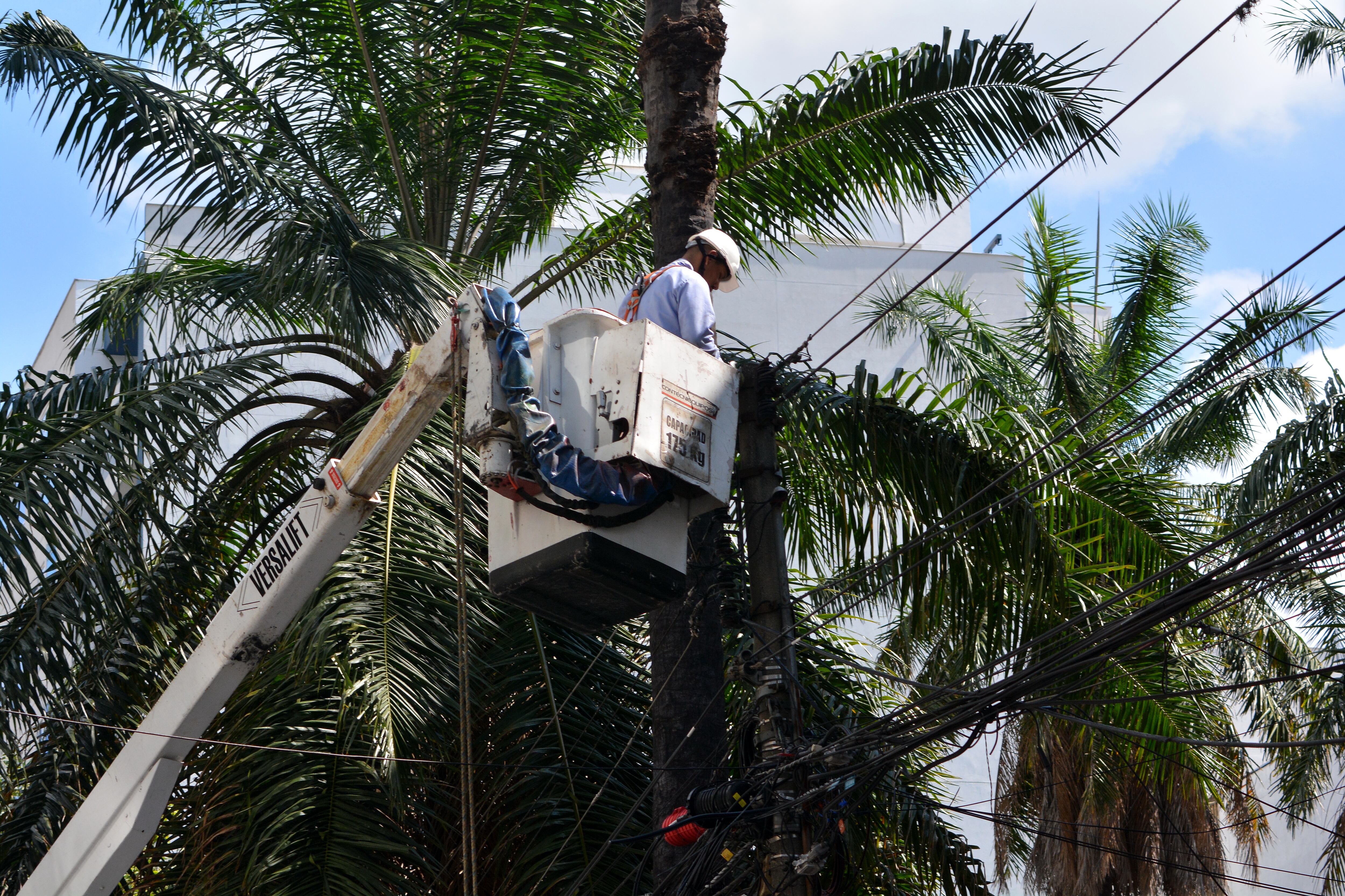 Trabajos de cambio de alumbrado público en sitios donde había escases de iluminación en Cali. Foto Jorge Orozco.