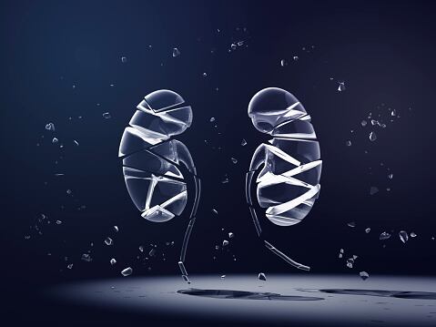 Consejos para evitar las enfermedades renales.