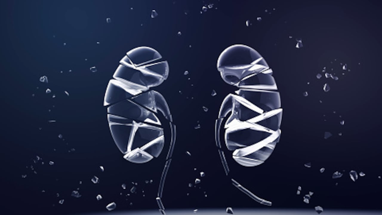 El buen funcionamiento de los riñones pasa por estar físicamente activo y comer sano, entre otras.