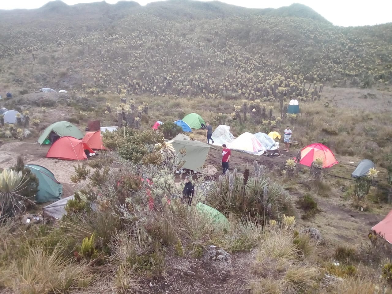Ambientalistas se pronunciaron frente a las afectaciones causadas al Páramo del Sol.