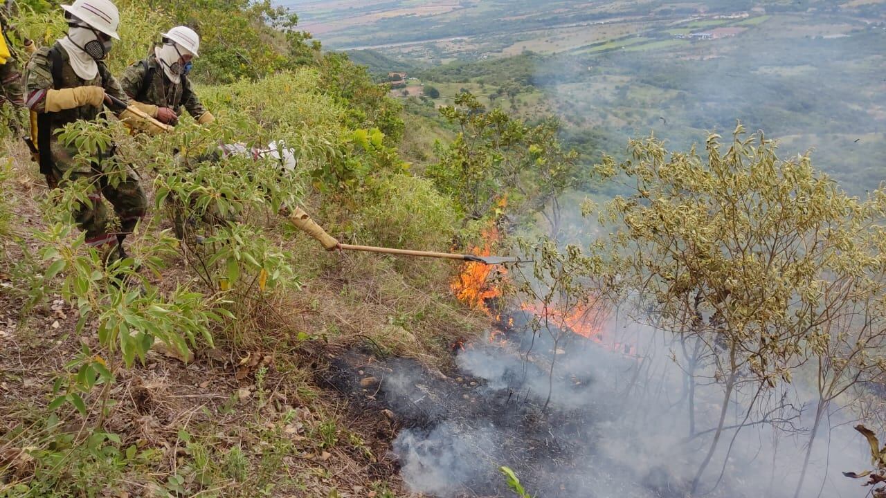 Ejército Nacional apoya labores de mitigación de incendio en Carmen de Apicalá.